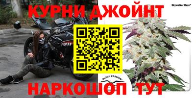 прущие грибы Уссурийск